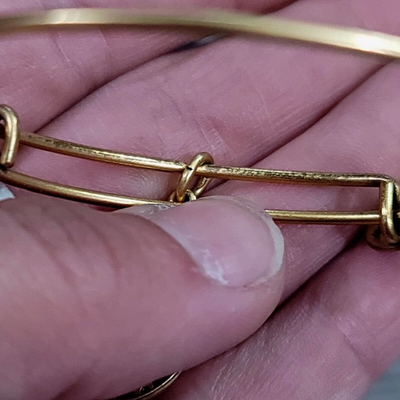 Alex and Ani Because I Love You Friend II Charm Bracelet - Picture 12 of 13